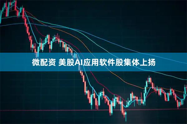 微配资 美股AI应用软件股集体上扬