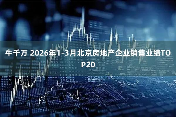 牛千万 2026年1-3月北京房地产企业销售业绩TOP20