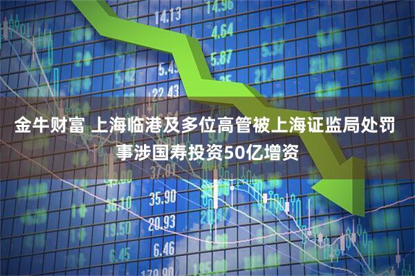 金牛财富 上海临港及多位高管被上海证监局处罚 事涉国寿投资50亿增资