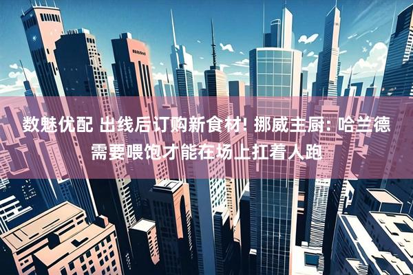 数魅优配 出线后订购新食材! 挪威主厨: 哈兰德需要喂饱才能在场上扛着人跑