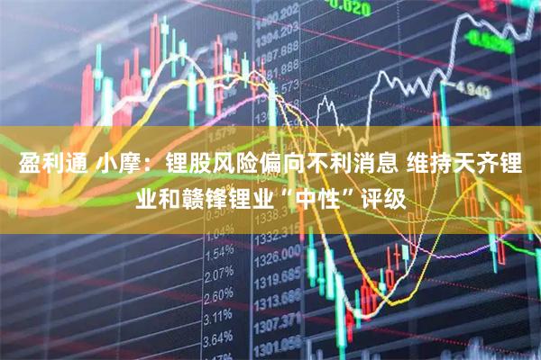 盈利通 小摩:锂股风险偏向不利消息 维持天齐锂业和赣锋锂业“中性”评级
