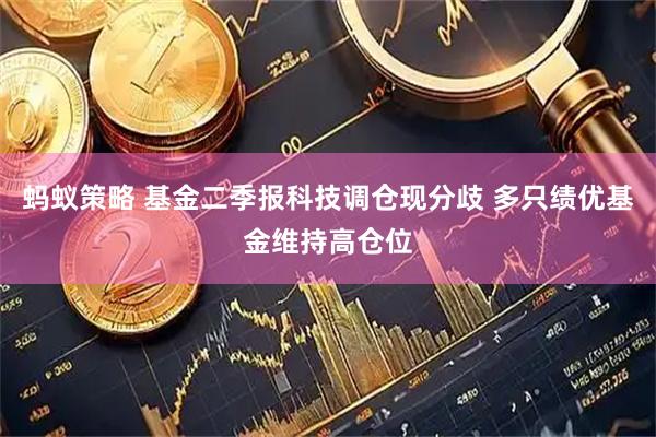 蚂蚁策略 基金二季报科技调仓现分歧 多只绩优基金维持高仓位