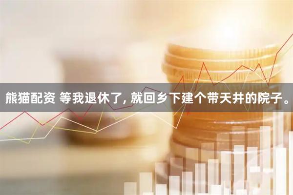 熊猫配资 等我退休了, 就回乡下建个带天井的院子。